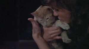 Born to Win (1971)