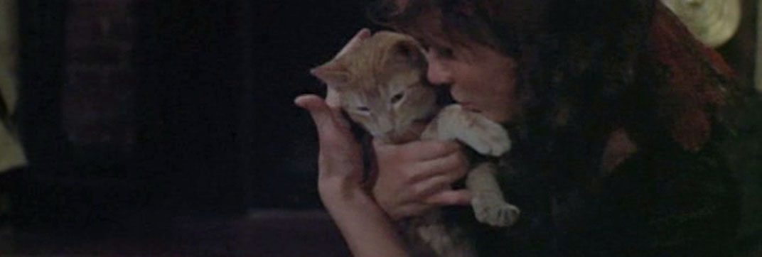 Born to Win (1971)