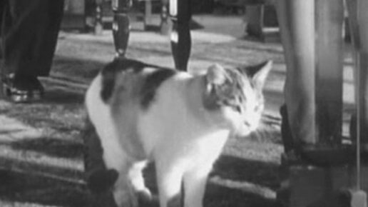 Four Days (1951)