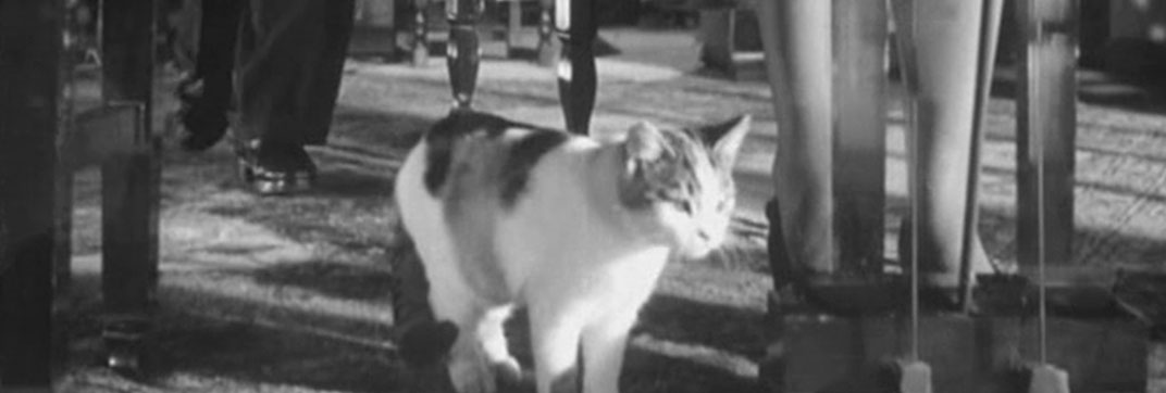 Four Days (1951)