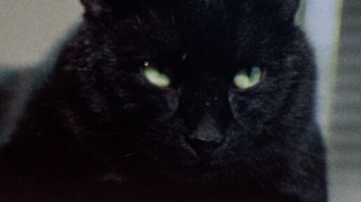 Horror High (1973)