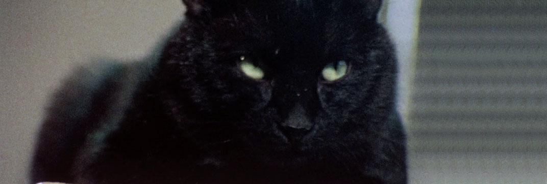 Horror High (1973)