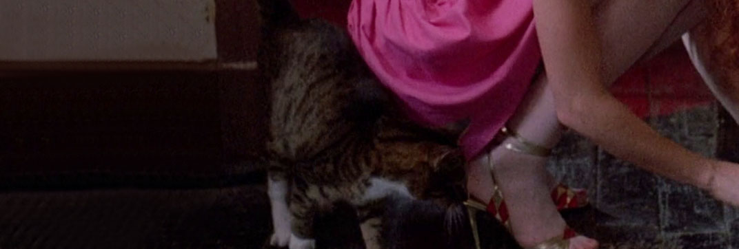 Streetwalkin’ (1985)
