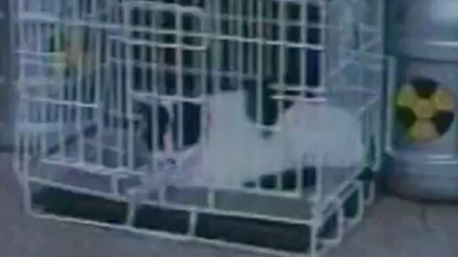 U.S. Catman: Lethal Track (1990)