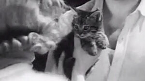 I Met a Murderer (1939)