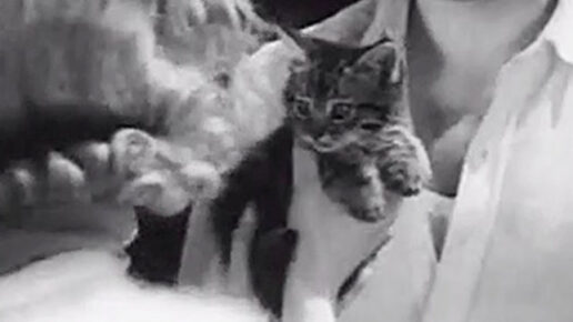 I Met a Murderer (1939)