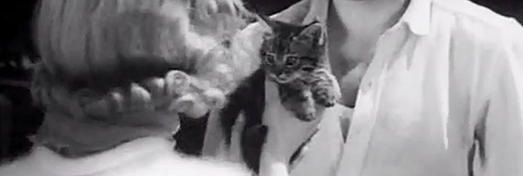 I Met a Murderer (1939)