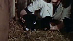 Miracle in Soho (1957)