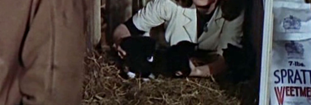 Miracle in Soho (1957)