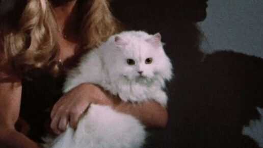 Pets (1973)