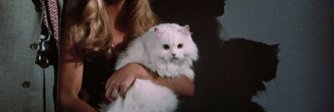 Pets (1973)