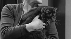 Ring of Spies (1964)