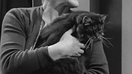 Ring of Spies (1964)
