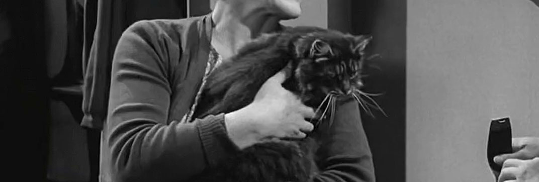 Ring of Spies (1964)