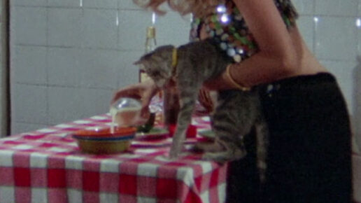 Sette orchidee macchiate di rosso (1972)