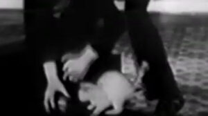Techno-Crazy (1933)