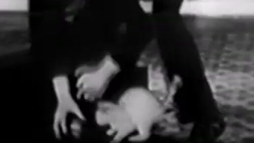 Techno-Crazy (1933)