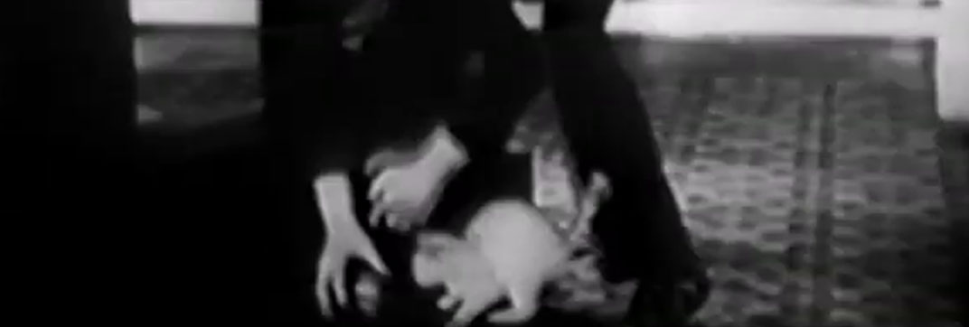 Techno-Crazy (1933)