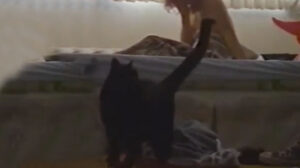 Alien Beach Party Massacre (1996)