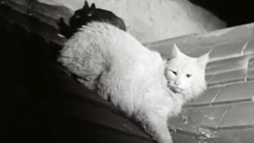 The Black Abbot (1934)