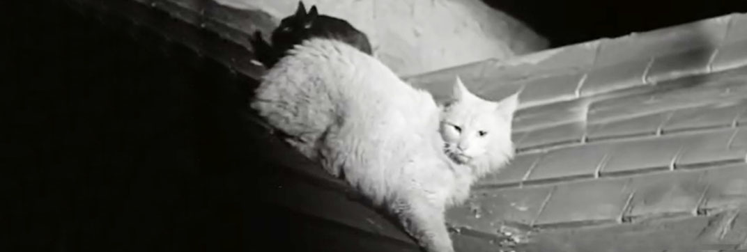 The Black Abbot (1934)