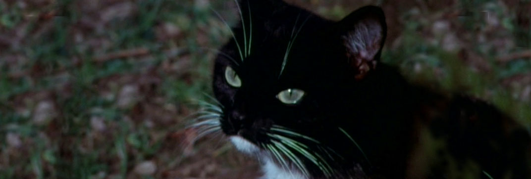 The Cat and the Canary (1978)