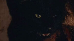 The House Where Evil Dwells (1982)