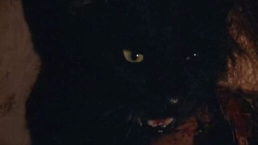 The House Where Evil Dwells (1982)