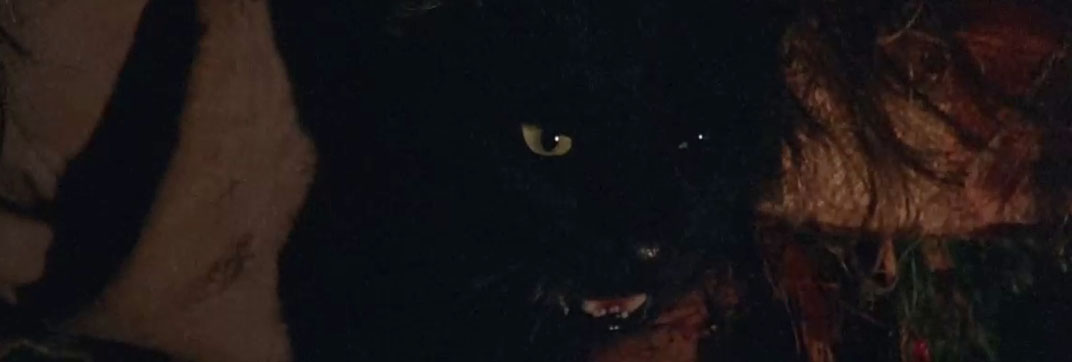 The House Where Evil Dwells (1982)