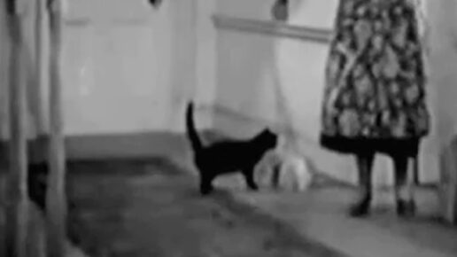 Jump for Glory (1937)