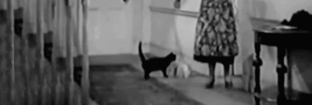 Jump for Glory (1937)