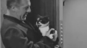 A Man Called Harry Brent – “Episode 2: Jacqueline”