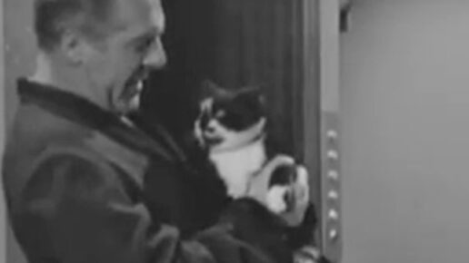 A Man Called Harry Brent – “Episode 2: Jacqueline”