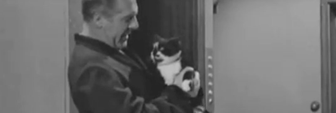 A Man Called Harry Brent – “Episode 2: Jacqueline”