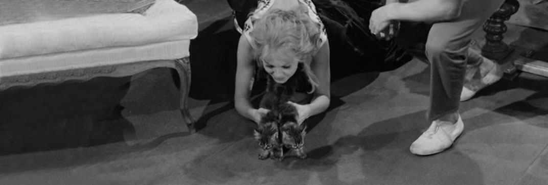 La notte brava (1959)