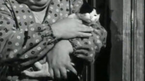 Papà diventa mamma (1952)