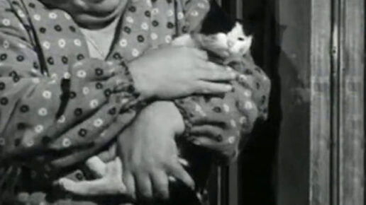 Pap&agrave; diventa mamma (1952)