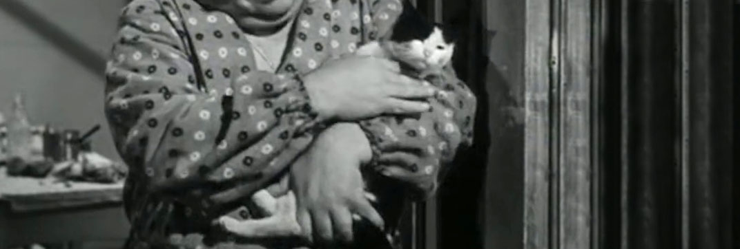 Papà diventa mamma (1952)