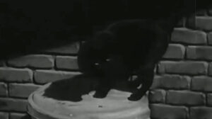 That’s the Spirit (1945)