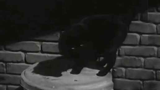 That’s the Spirit (1945)