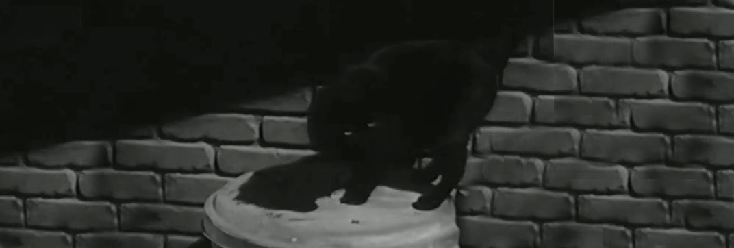 That’s the Spirit (1945)