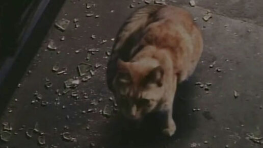 The Tomorrow Man (1996)