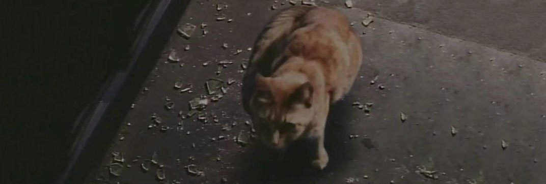 The Tomorrow Man (1996)