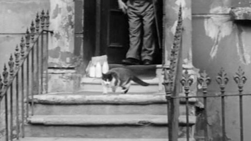Violent Moment (1959)
