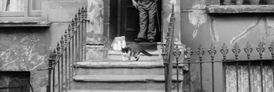 Violent Moment (1959)