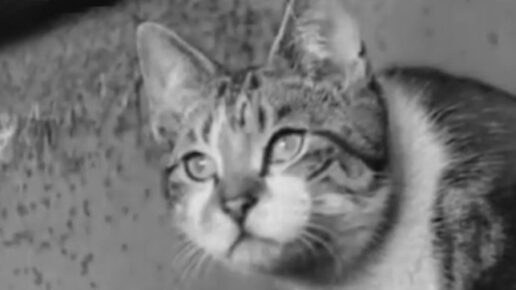 Cinetopicalities In Brief No. 93 (1940)