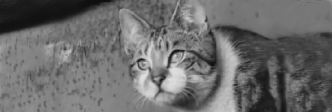 Cinetopicalities In Brief No. 93 (1940)