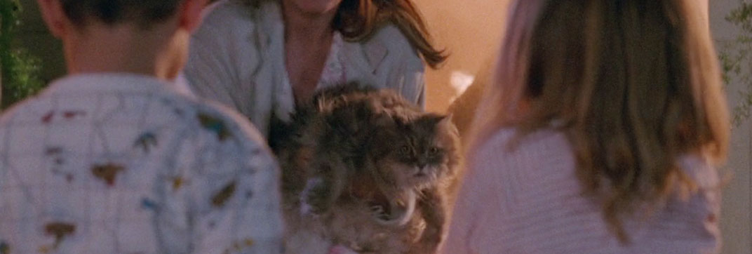 Defending Your Life (1991)