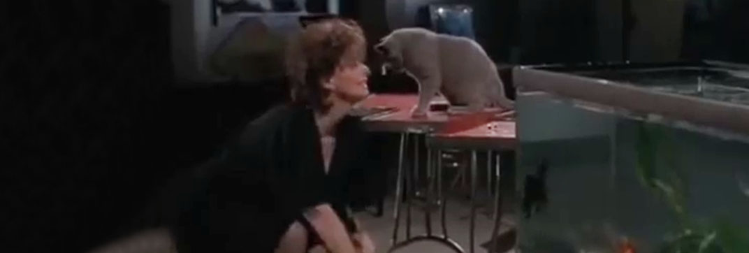 The Face of Fear (1990)