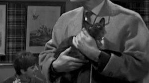 Francis Durbridge Presents: A Game of Murder – “Episode 5”